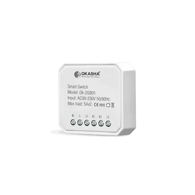 Smart In Wall Two Gang Switch