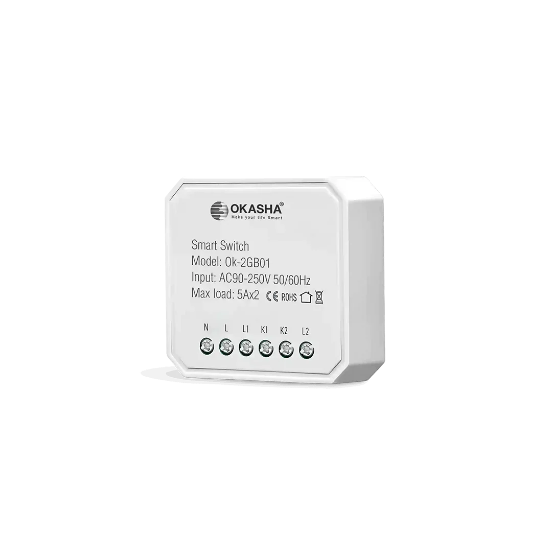 Smart In Wall Two Gang Switch